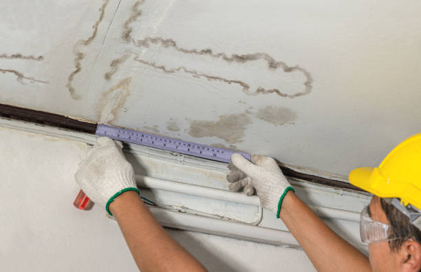 Affordable Water Damage Repair solutions in Forestville, OH